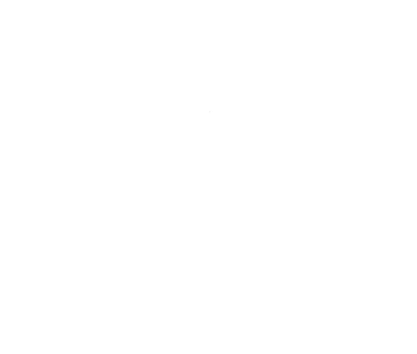 nxplace properties logo w ® - white